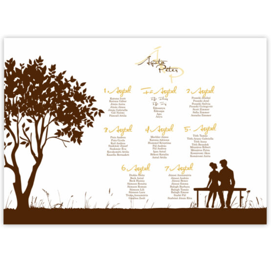 esküvői ültetési rend, esküvői üdvözlő tábla